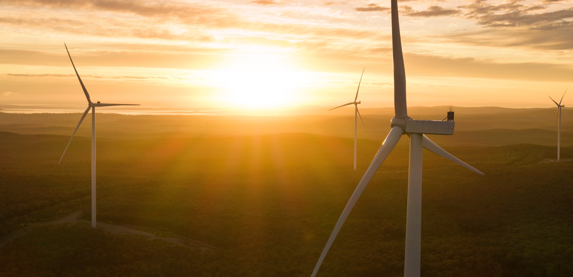 MacIntyre Wind Farm, Queensland